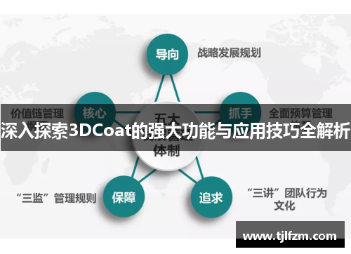 深入探索3DCoat的强大功能与应用技巧全解析